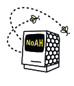 noah logo